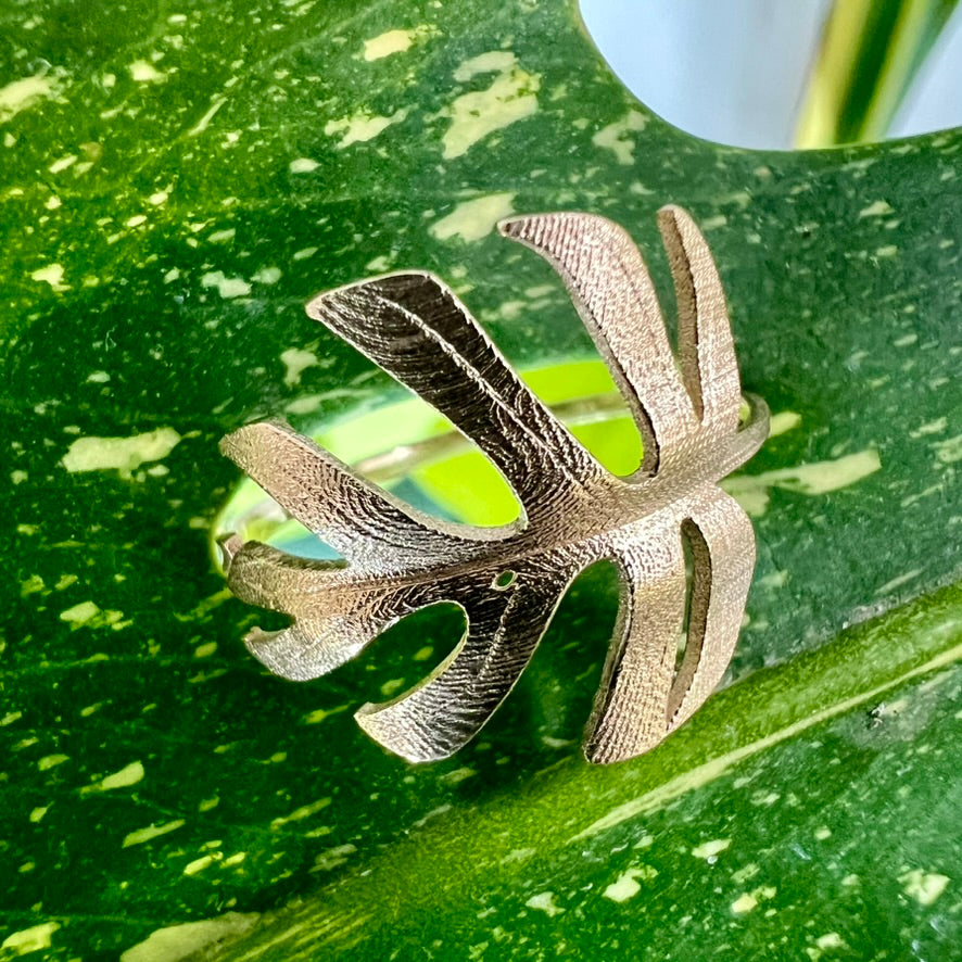 Houseplant Accessories - PlantyTown
