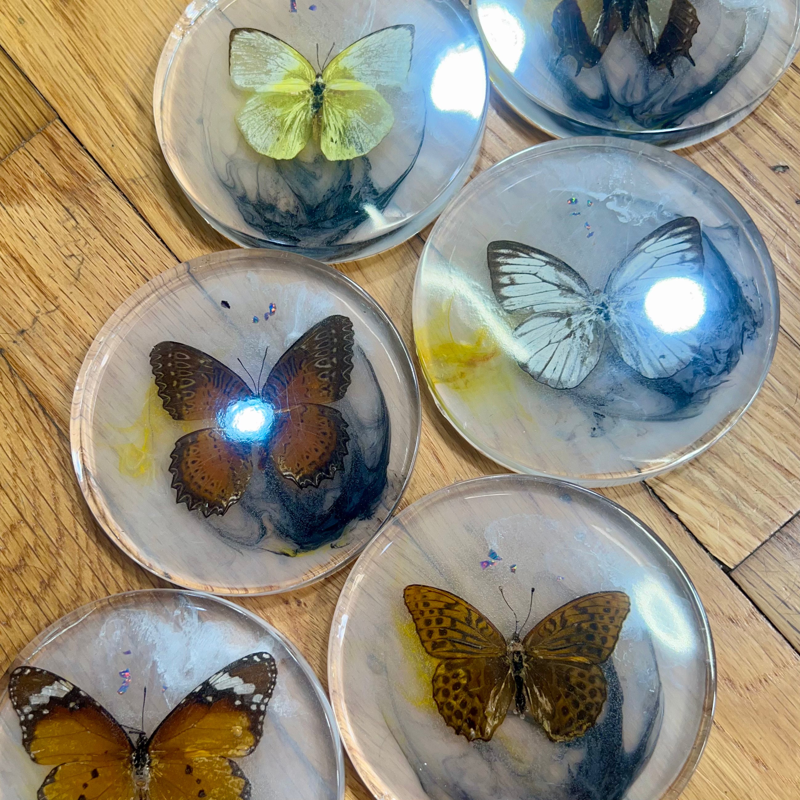 Butterfly 4” Coaster