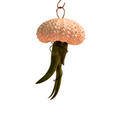 Hanging Air - Plant Jellyfish