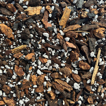 a good soil mix for Paraiso Verde