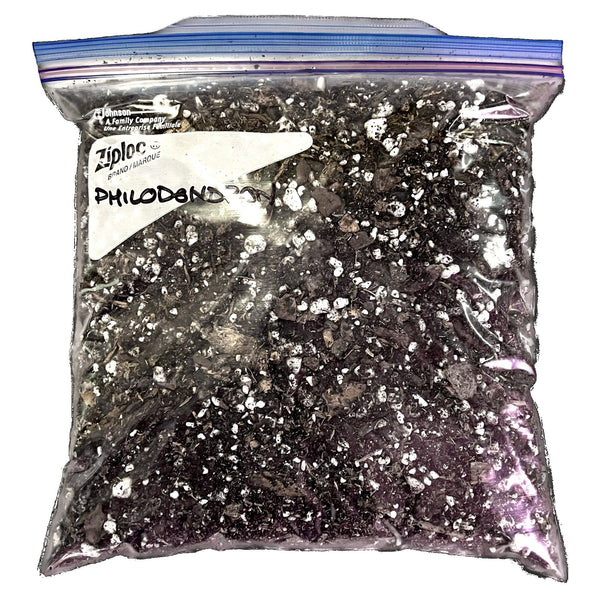 Mezcla para macetas Philodendron Friday Mezcla para macetas Philodendron Friday