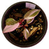 Philodendron Pink Princess in 4" pot