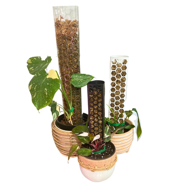 Envolturas para postes de musgo sphagnum Envolturas para postes de musgo sphagnum