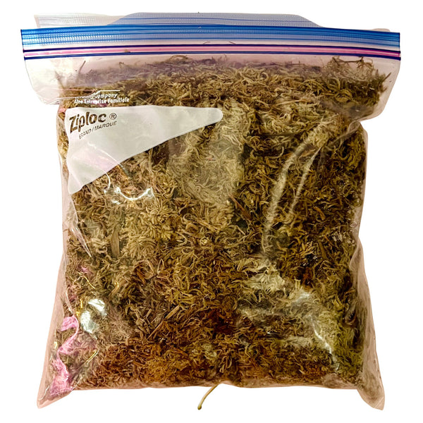 Musgo Sphagnum del domingo Musgo Sphagnum del domingo