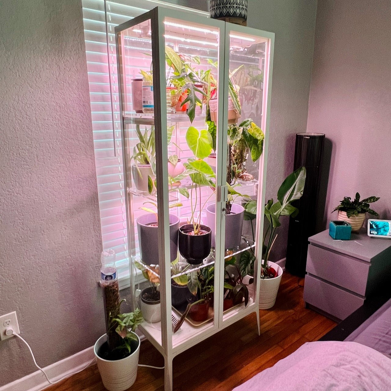 The Ultimate Ikea Milsbo Greenhouse Cabinet - PlantyTown